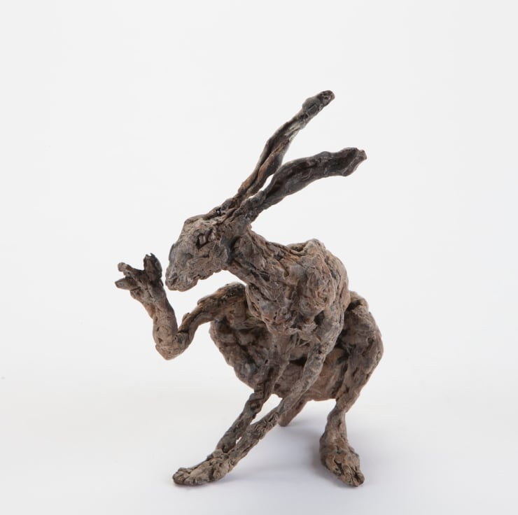 Ans Zondag - Grooming Hare