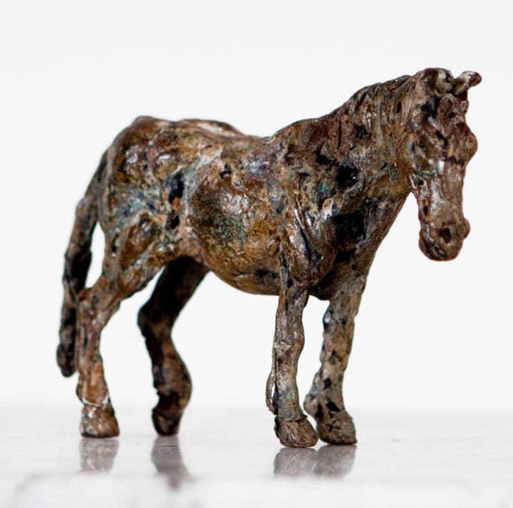 Ans Zondag - Pony