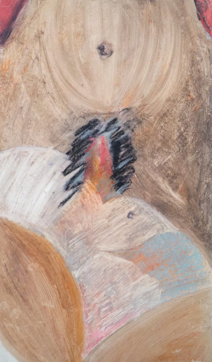 Teresa Roza d’Oliveira, Untitled