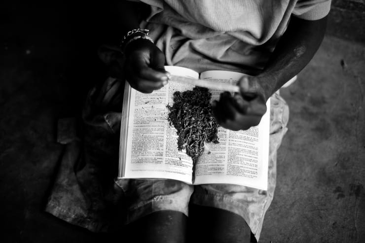 Mário Macilau, Rolling a Joint, Growing in Darkness series, 2012