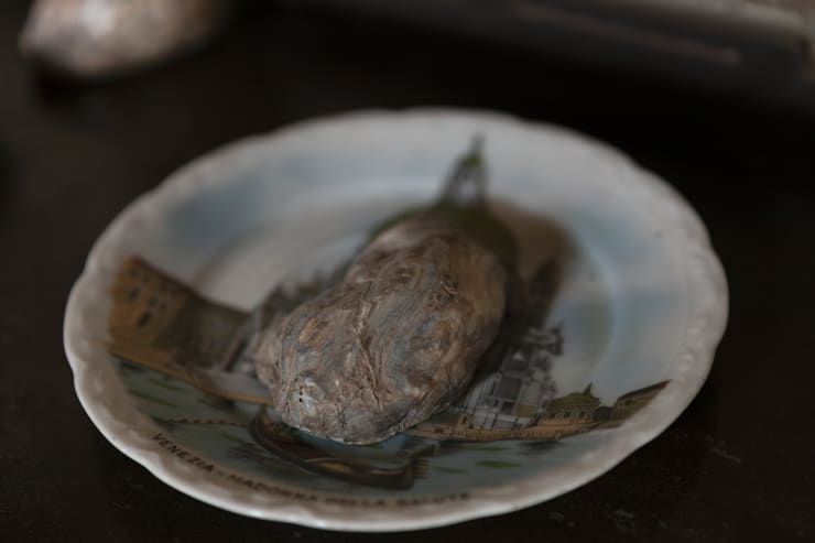 Shiraz Bayjoo, Meu Coracao, 2020