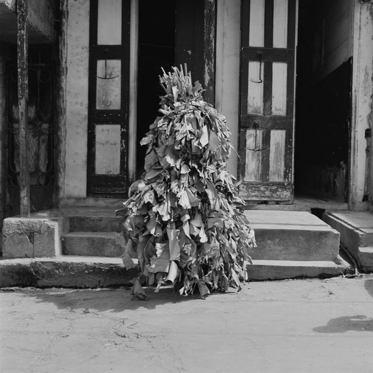 Leah Gordon, Pay Banan (Plantain Leaves), 1996