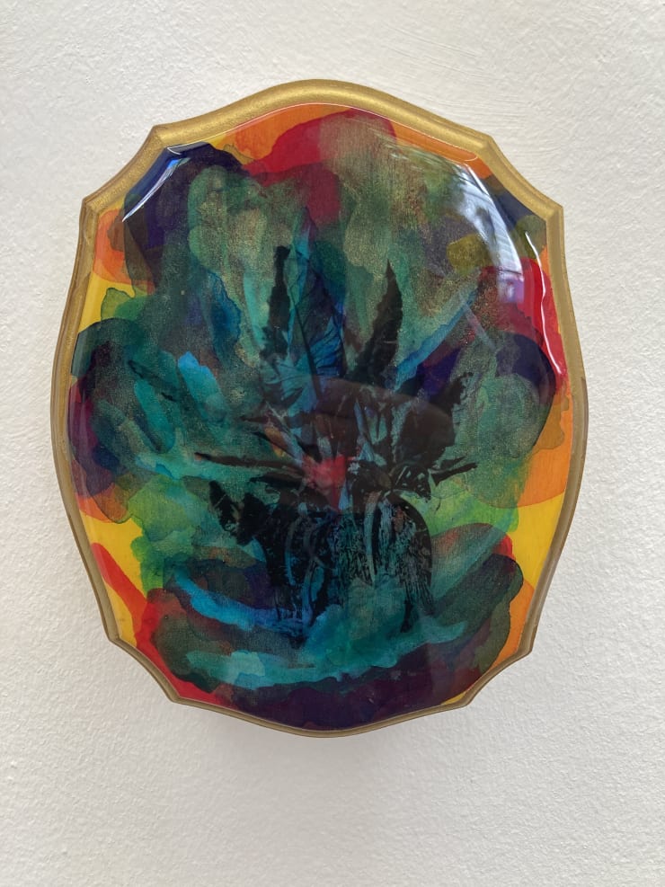 Shiraz Bayjoo, En Cours, Water Banana (study 1), 2021