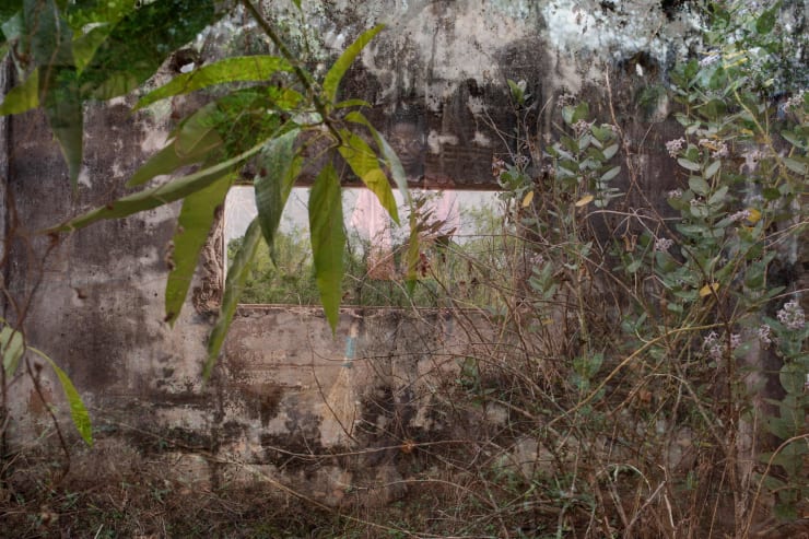 Mário Macilau, Circle of Memories XIV , 2020