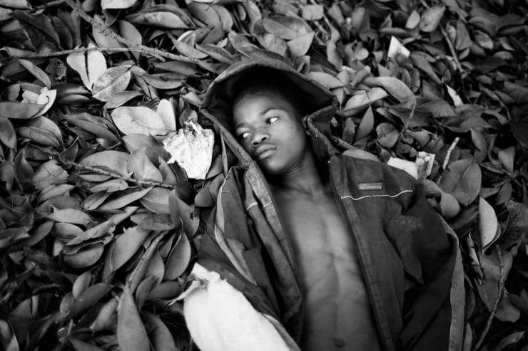 Mário Macilau, Untitled (to be titled), Growing in Darkness series, 2012