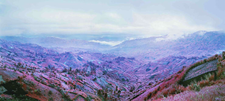 Richard Mosse, Because the Night, 2012