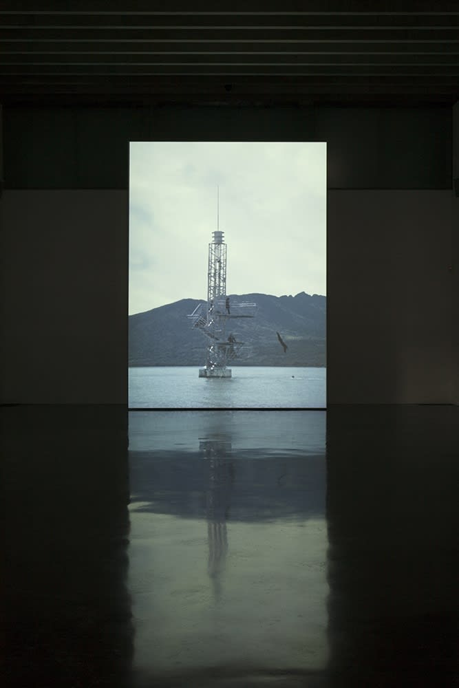 Diver, 2014