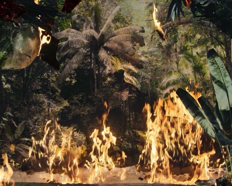 Below The Deep South, 2021