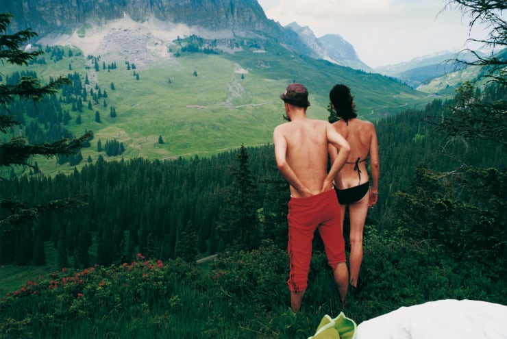 Swiss View, 1996