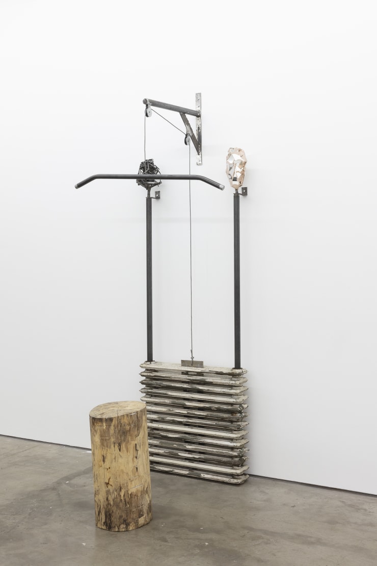 Swiatofit, 2019