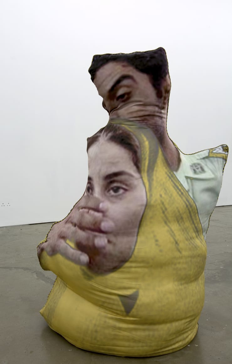 Sheida Soleimani, Shahla, 2016