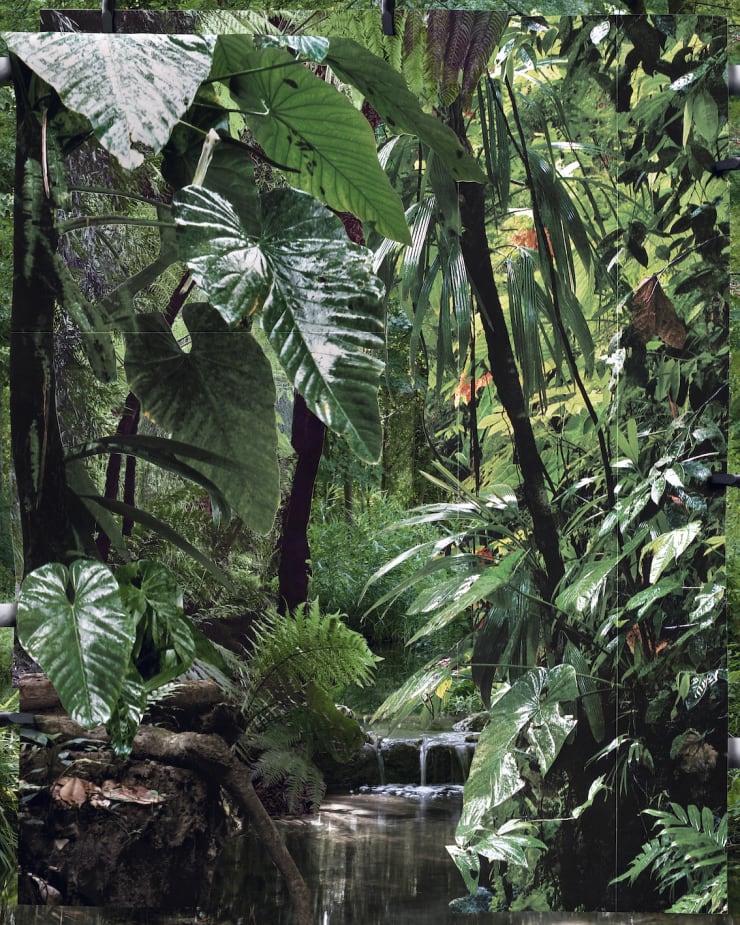 Noémie Goudal, Tropiques I, 2020