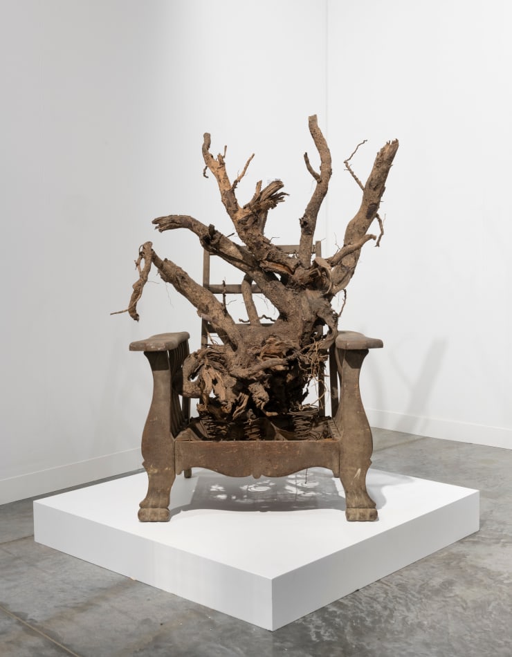 The Sharer of the Roots, 2017