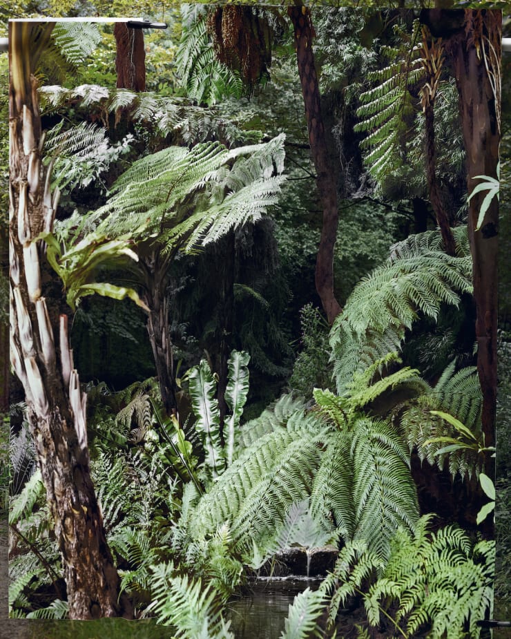 Noémie Goudal, Tropiques III, 2020