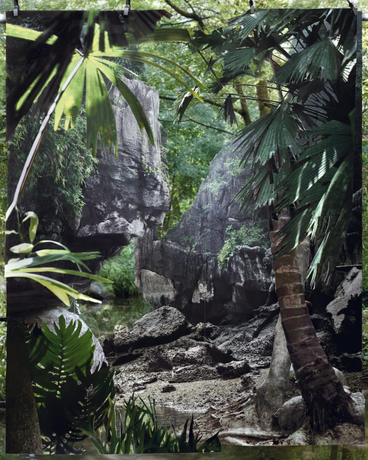 Noémie Goudal, Tropiques II, 2020