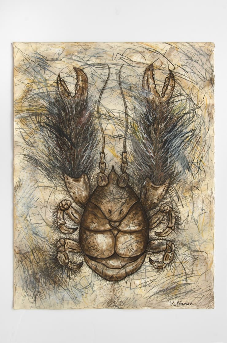 Jeffrey Vallance, Yeti Crab (Kiwa hirsuta), 2016