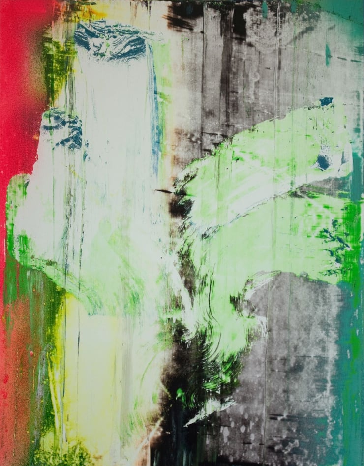 Chris Trueman, Natural Selection #29, 2012