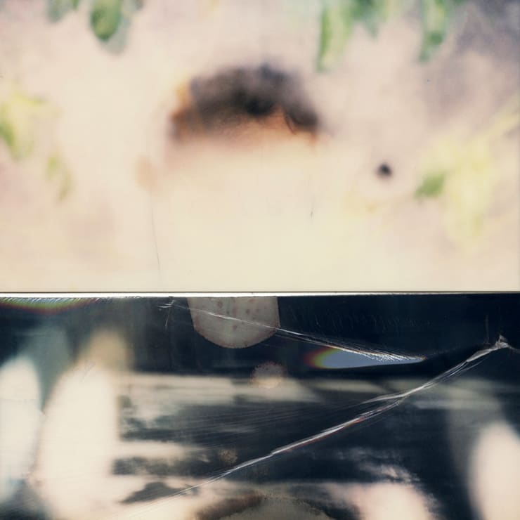 Stuart Sandford, Polaroid Collages (2018-TBA), II (Edition 1 of 3), 2020