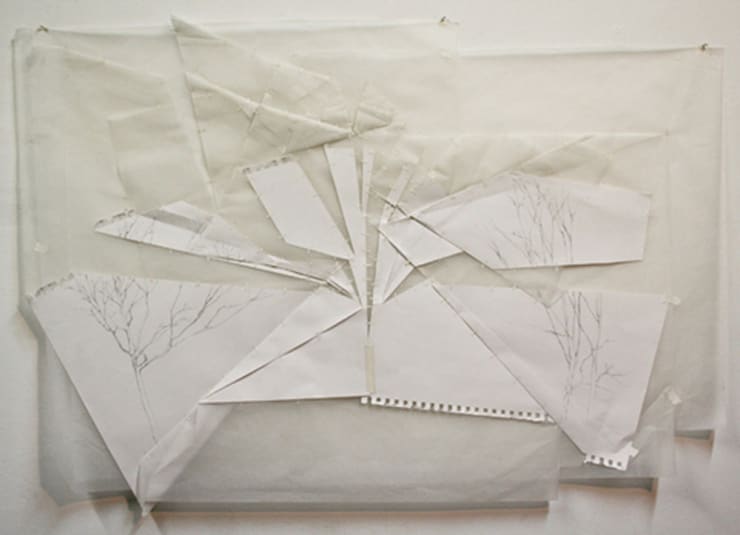 Kate Harding, Study #2, 2009