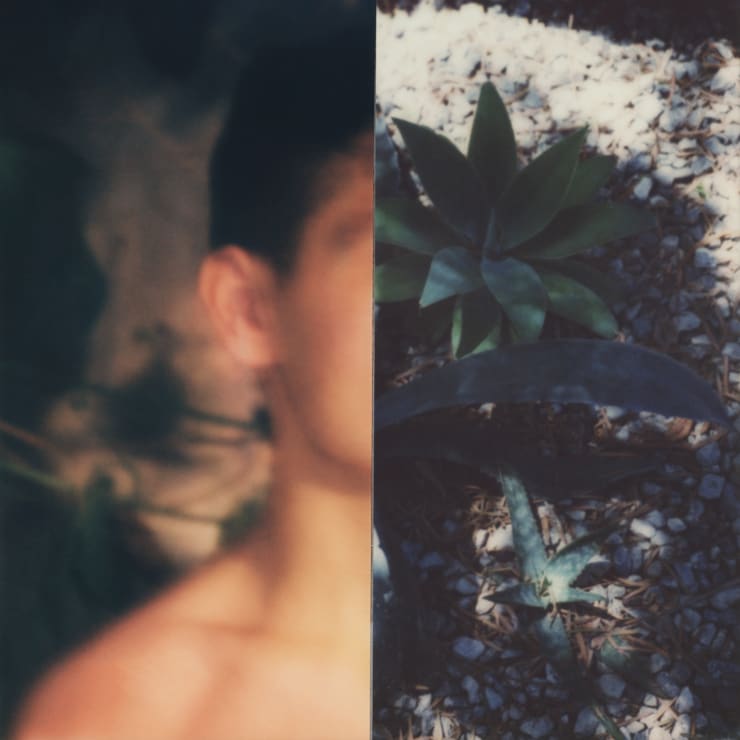 Stuart Sandford, Polaroid Collages (2018-TBA), XVI (Edition 1 of 3), 2020