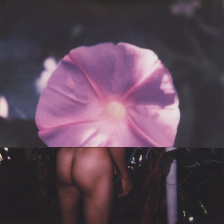 Stuart Sandford, Polaroid Collages (2018-TBA), XIX (Edition 1 of 3), 2020