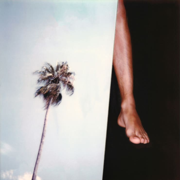 Stuart Sandford, Polaroid Collages (2018-TBA), XXII (Edition 2 of 3), 2020