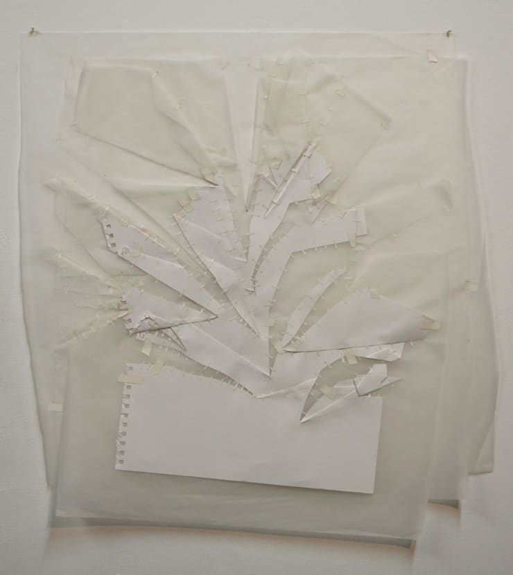 Kate Harding, Study #1, 2009