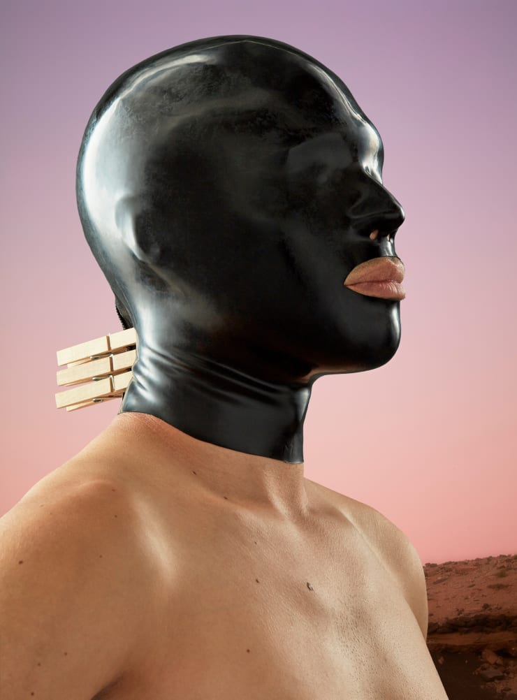 Blake Little, Hector Pink Closeup, 2019