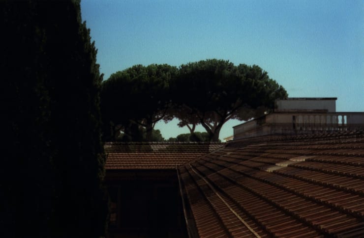 Stephen Berens, July 31, 2005, AfternoonJuly 19, 2005, Morning, 2013