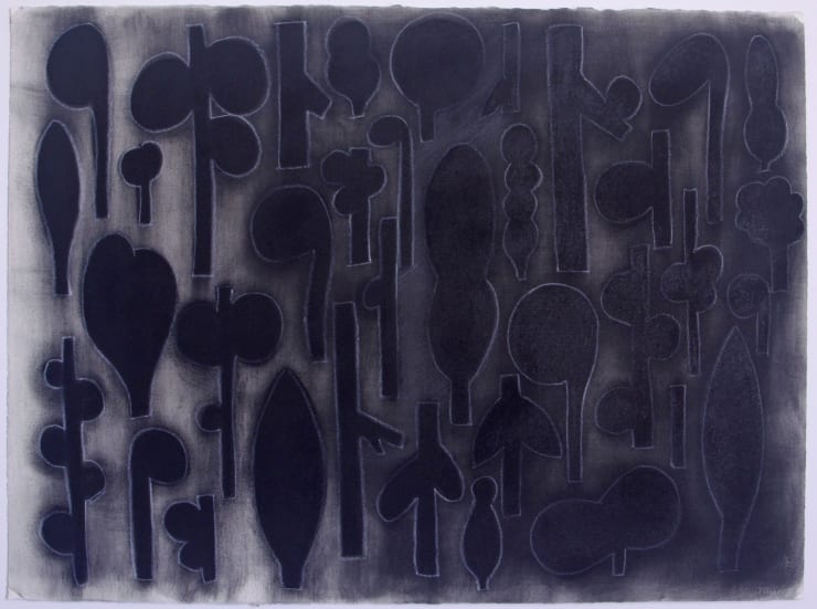 Dave Hicks, Library Drawing XVII, 2018