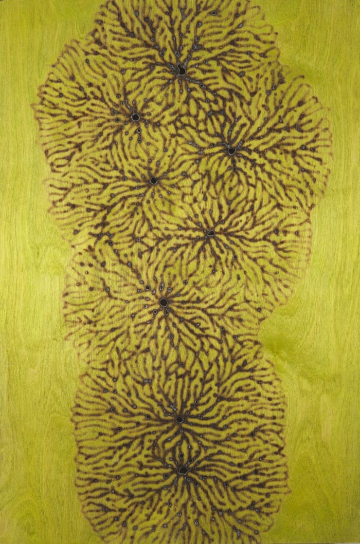 Brad Miller, Jimmied, 2010