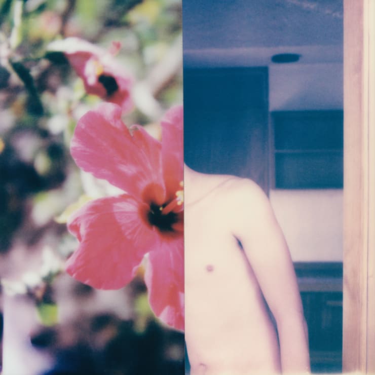 Stuart Sandford, Polaroid Collages (2018-TBA), LX (Edition 1 of 3), 2020