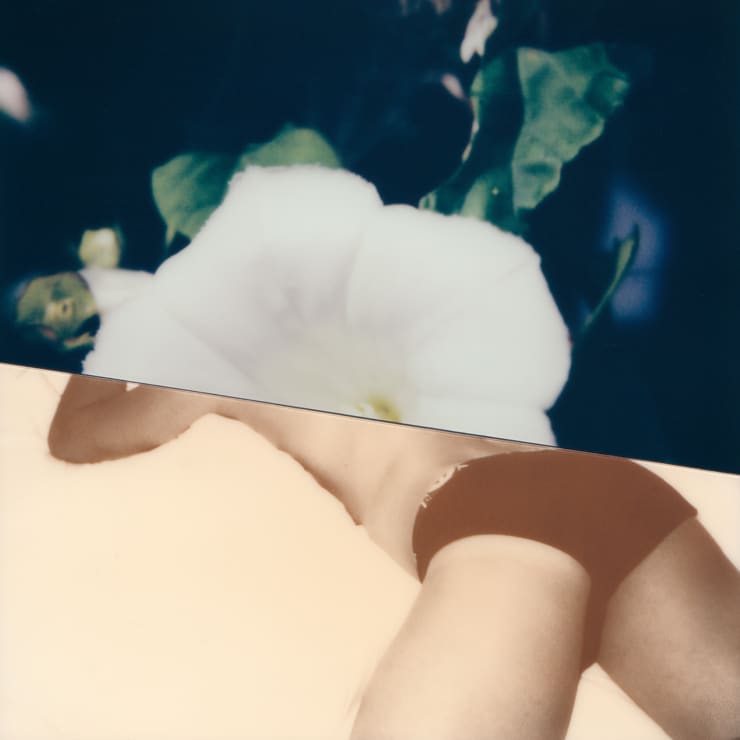 Stuart Sandford, Polaroid Collages (2018-TBA), LXVII (Edition 1 of 3), 2020