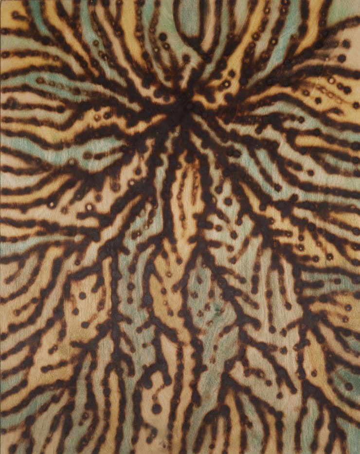 Brad Miller, Extra, 2011