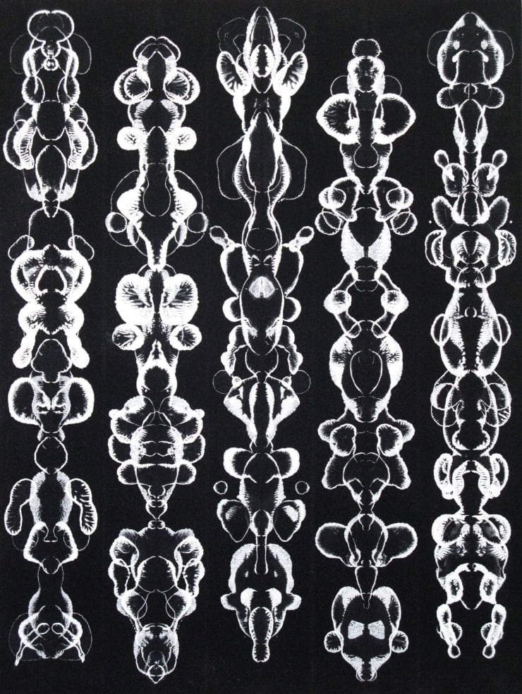 Brad Miller, Bifold BC9, 2015