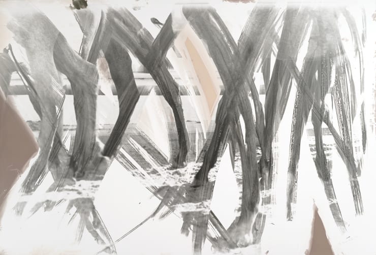 Gerald Incandela, In The Grove, 2007