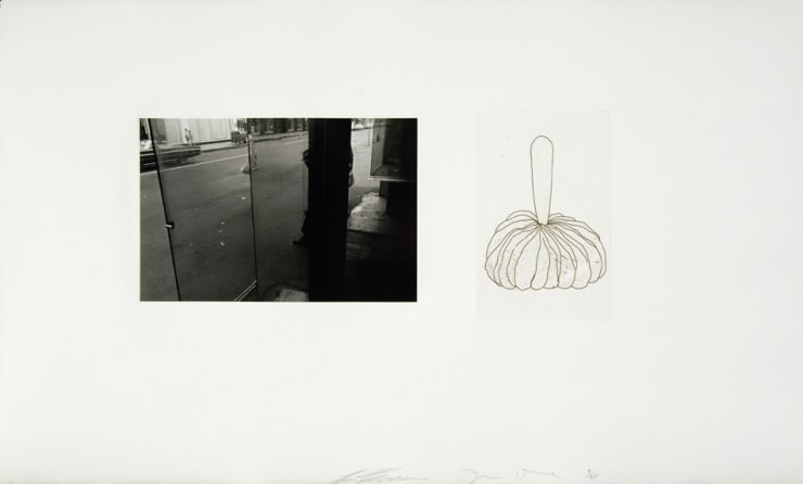 Lee Friedlander, #4 - Work From the Same House Series, 1969