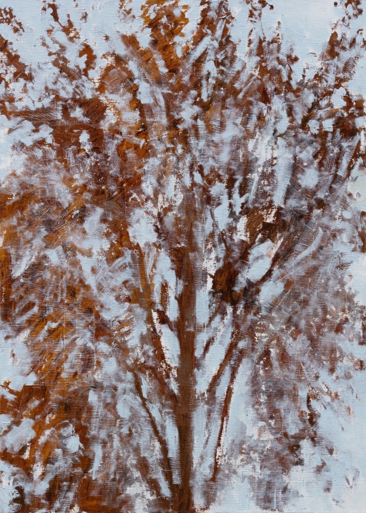 Daeyou Kim, Between Winters, 2021