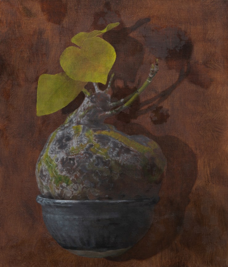 Daeyou Kim, Nurturing the nature: from Mexico, 2025