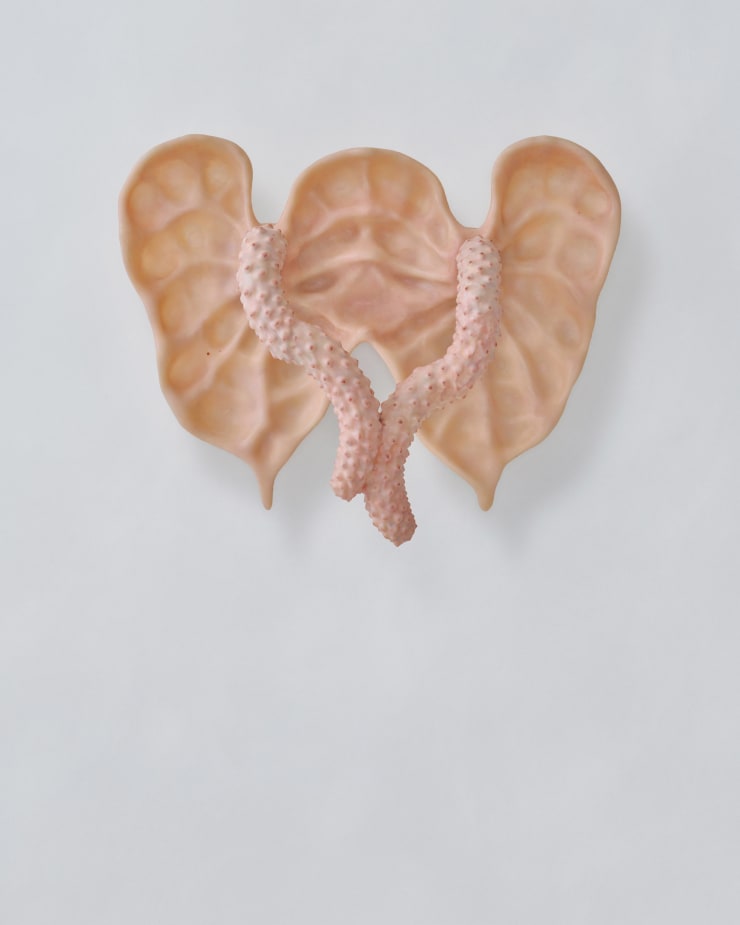 Dae Uk Kim, Koda, 2025