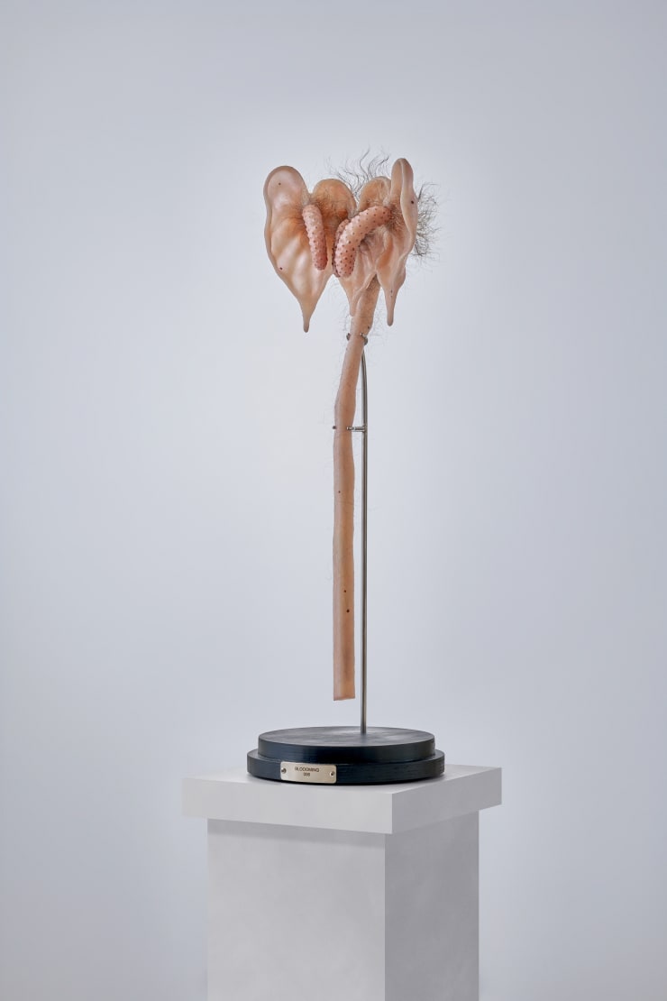 Dae Uk Kim, Bloooming 006, 2024