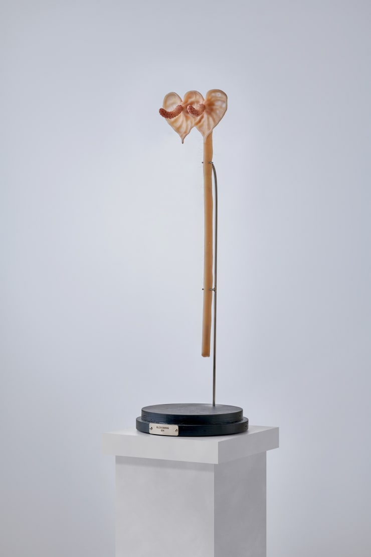 Dae Uk Kim, Bloooming 004, 2024