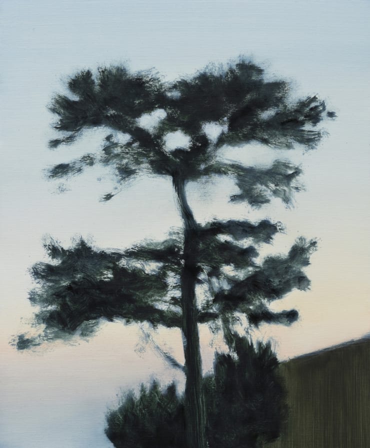 Daeyou Kim, A Pine with A Friend, 2023