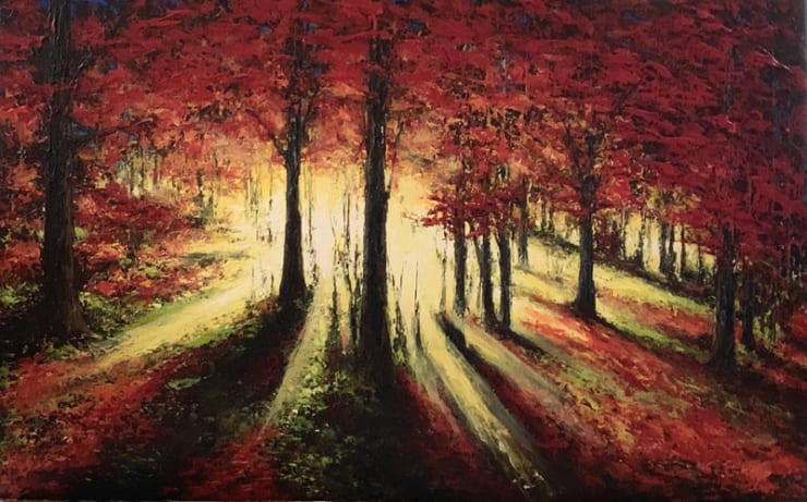 Every Tree Tells A Story