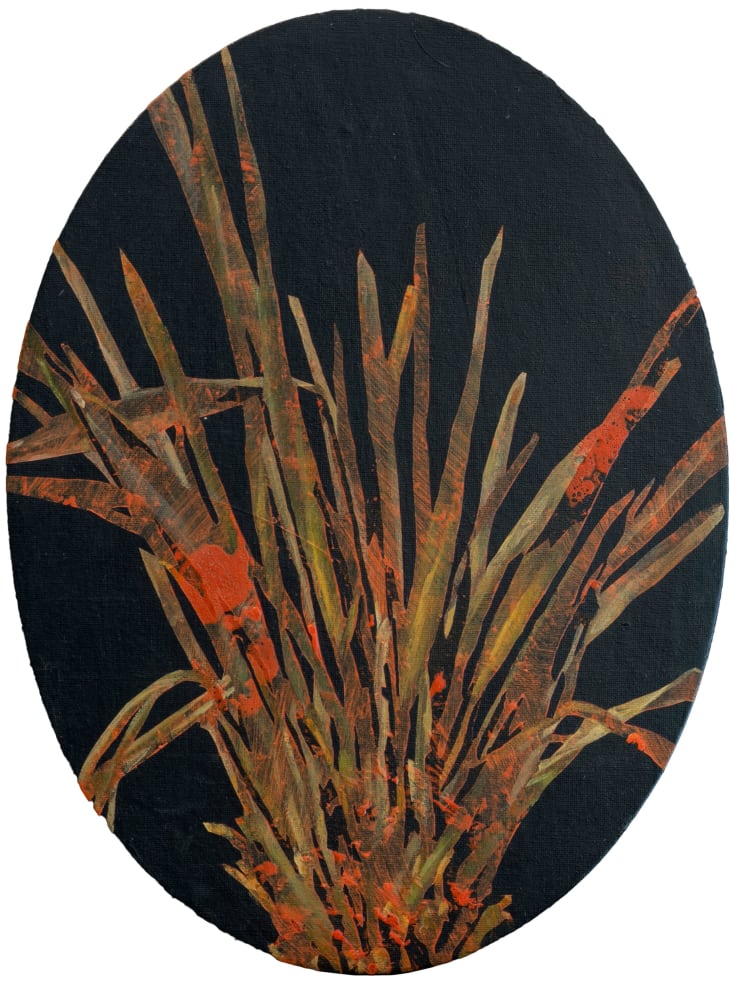 Paula Solís, Arreglo Floral N°12 - III, 2025
