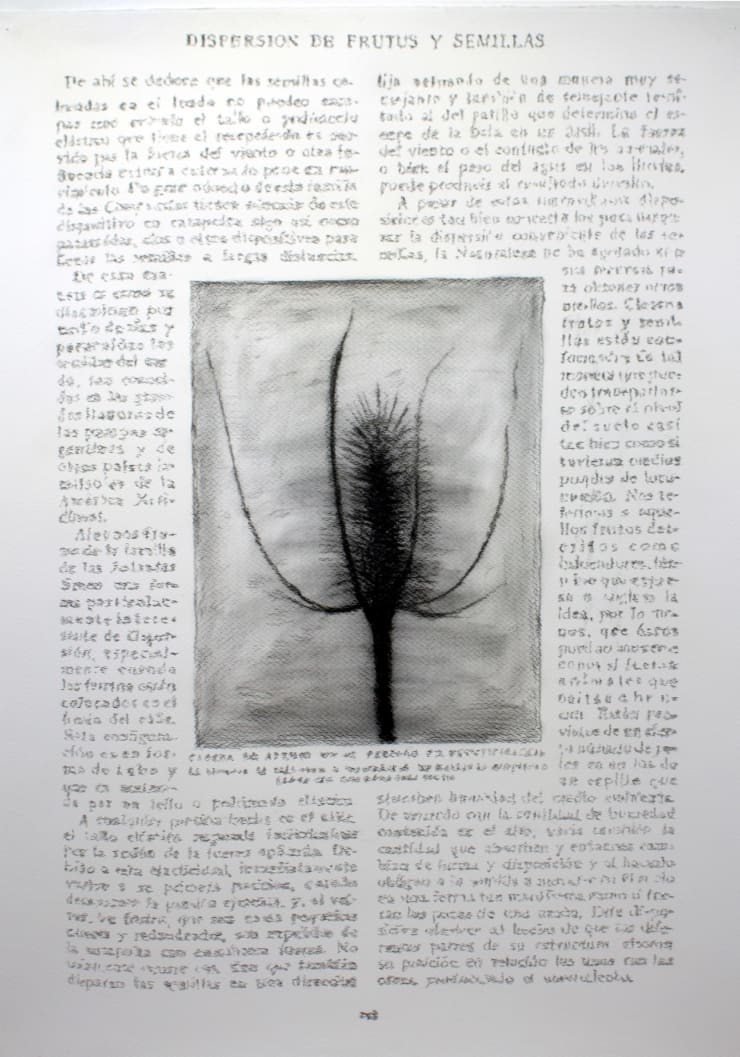 André Strahinja Dispersión, 2018 Carboncillo sobre papel Fabriano 100 x 70 cm