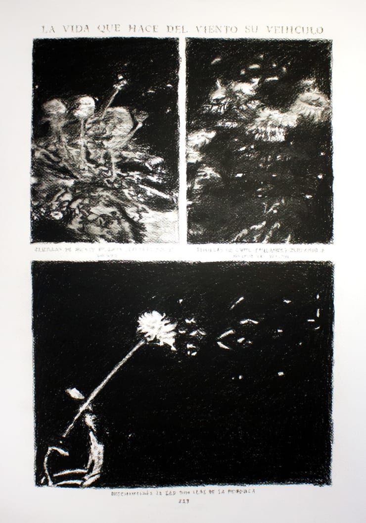 André Strahinja La vida que hace del viento su vehículo, 2018 Carboncillo sobre papel Fabriano 100 x 70 cm