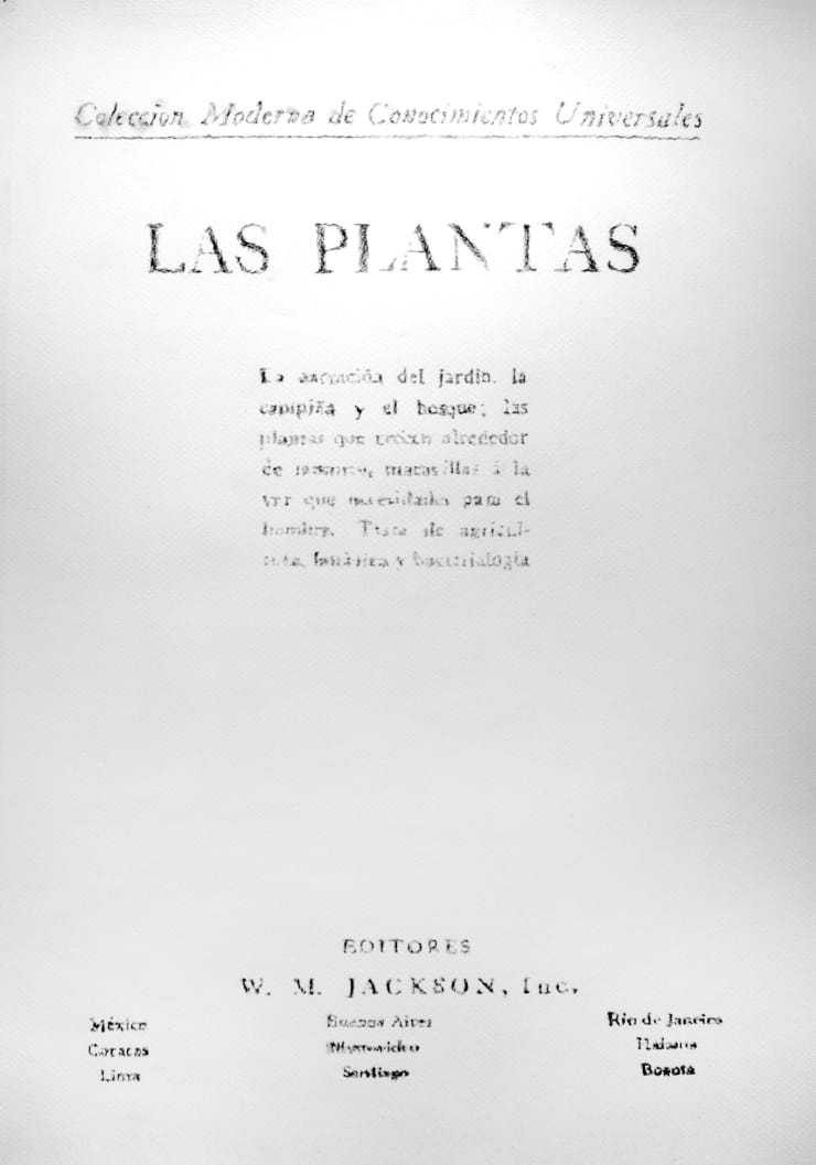 André Strahinja Las Plantas, 2018 Carboncillo sobre papel Fabriano 100 x 70 cm