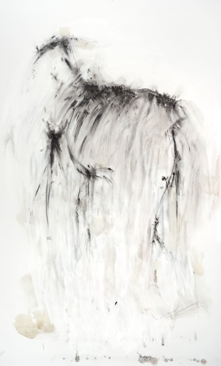 Marta Estrems, D C Series N274, 2023