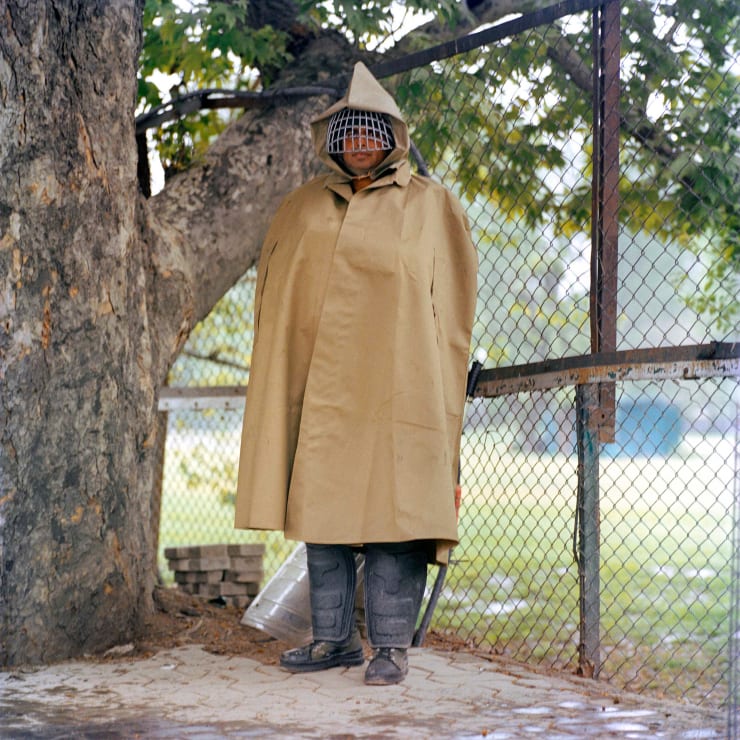 Sohrab Hura, Snow, 2015-2019